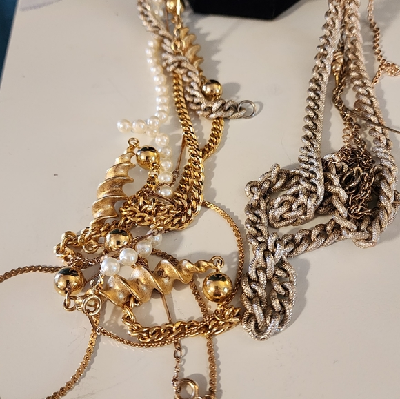 Does your tree need gay apparel? - Picture 3 of 4